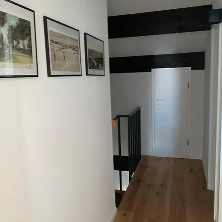 Mountainlook Apartament