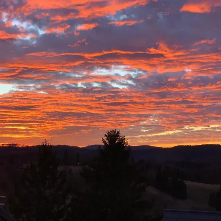 Mountainlook شقة Hohegeiß